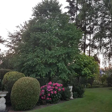 Mooie Tuin In