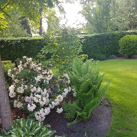 Mooie Tuin In * Twello