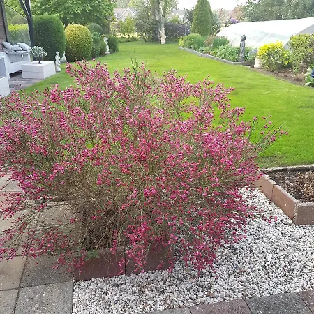 בית אירוח Mooie Tuin In Twello