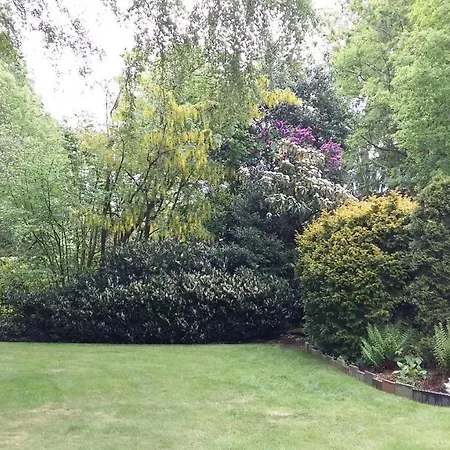 בית אירוח Mooie Tuin In *
