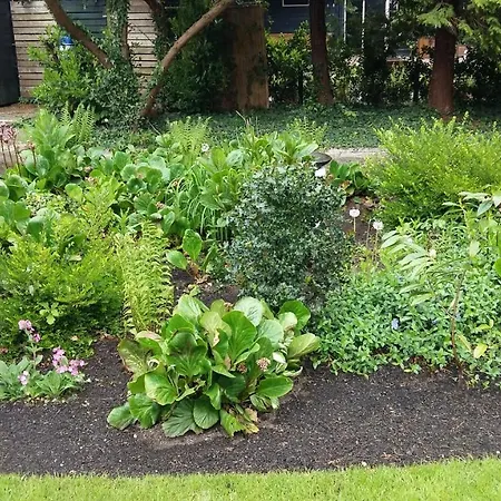 בית אירוח Mooie Tuin In *