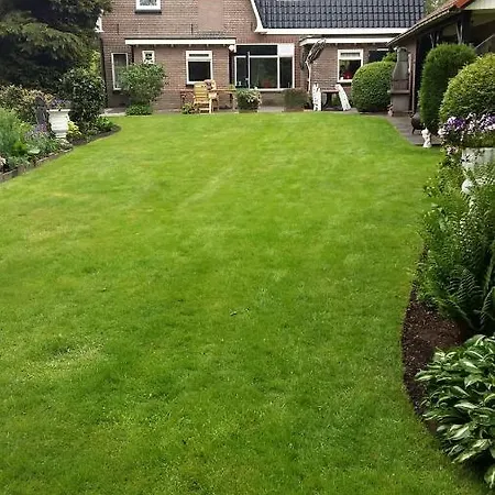 Mooie Tuin In