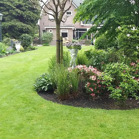 Mooie Tuin In Twello
